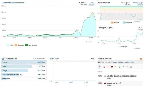 Wordpress problem 2-newrelic-problem